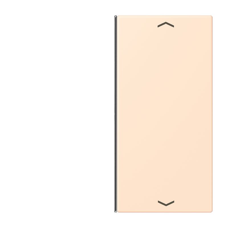 Jung - Touche 2 voies avec flèches platine F40 / LS 990 LC 32123