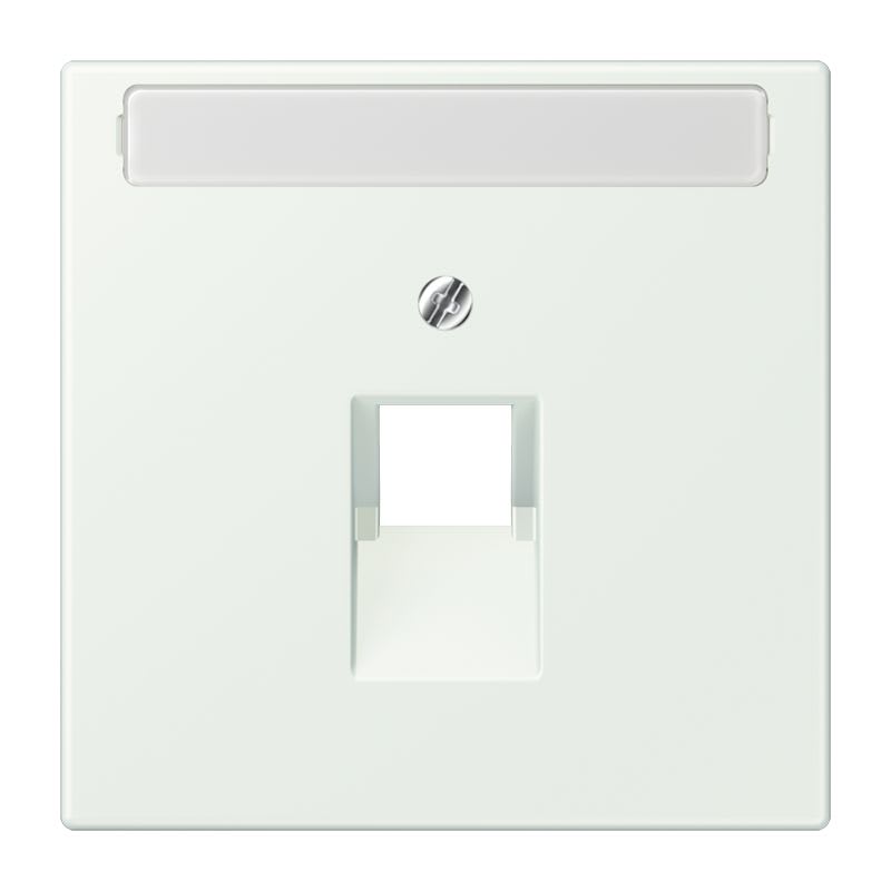Jung - Enjoliveur pour prise IAE/UAE avec PE / LS 990 LC 32024