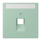 Jung - Enjoliveur pour prise IAE/UAE avec PE / LS 990 LC 32041