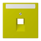 Jung - Enjoliveur pour prise IAE/UAE avec PE / LS 990 LC 4320F