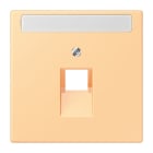 Jung - Enjoliveur pour prise IAE/UAE avec PE / LS 990 LC 4320P