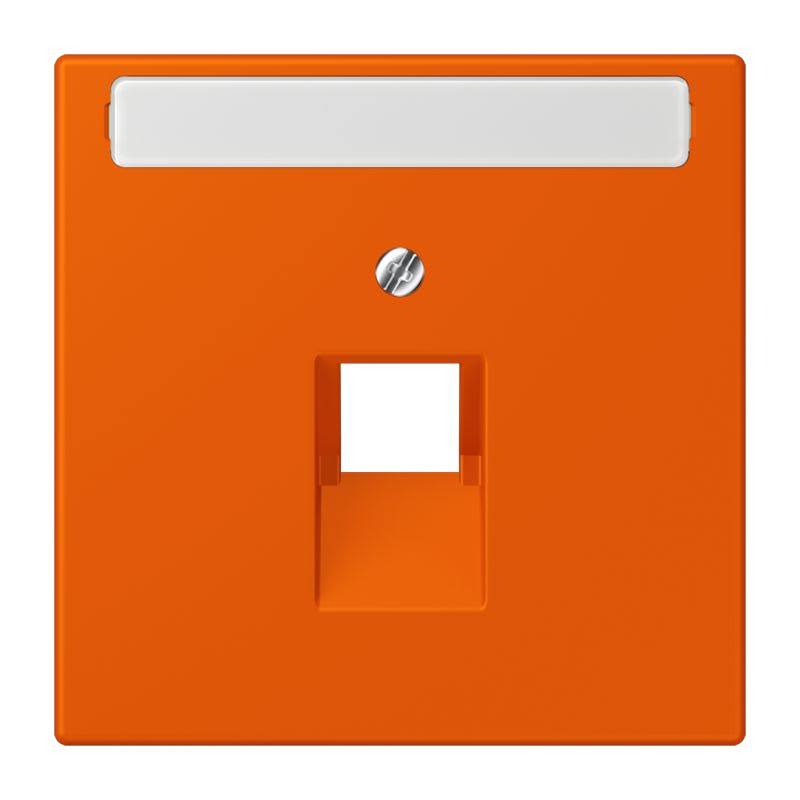 Jung - Enjoliveur pour prise IAE/UAE avec PE / LS 990 LC 4320S