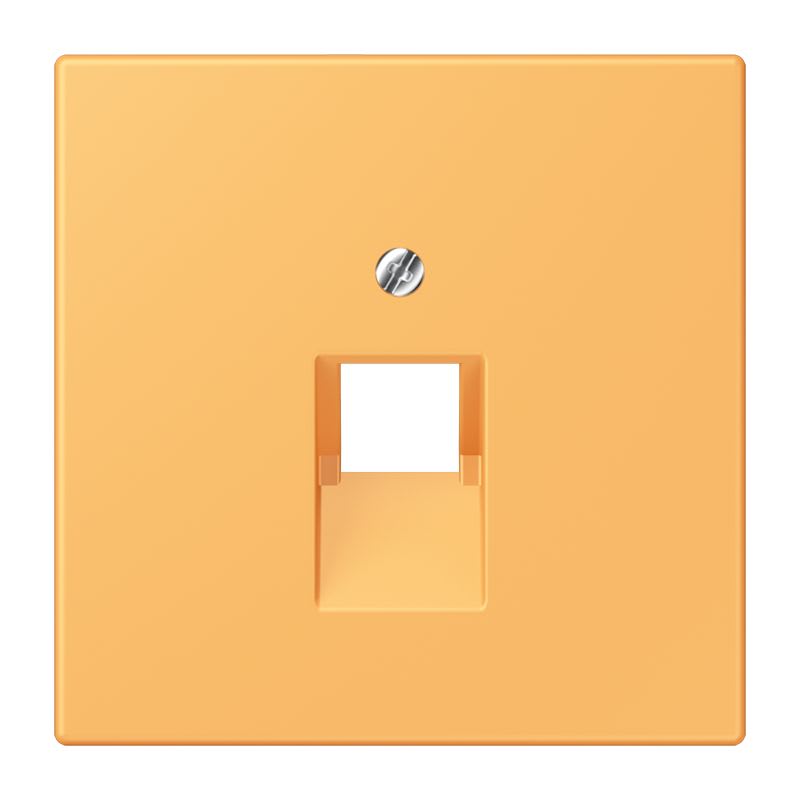 Jung - Enjoliveur pour prise IAE/UAE  / LS 990 LC 4320L