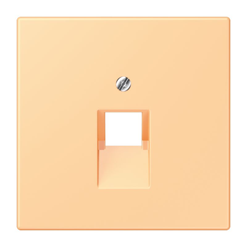 Jung - Enjoliveur pour prise IAE/UAE / LS 990 LC 4320P