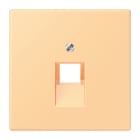 Jung - Enjoliveur pour prise IAE/UAE / LS 990 LC 4320P