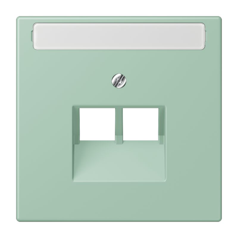 Jung - Enjoliveur pour prise IAE/UAE avec PE / LS 990 LC 32041