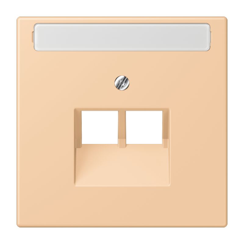 Jung - Enjoliveur pour prise IAE/UAE avec PE / LS 990 LC 32122