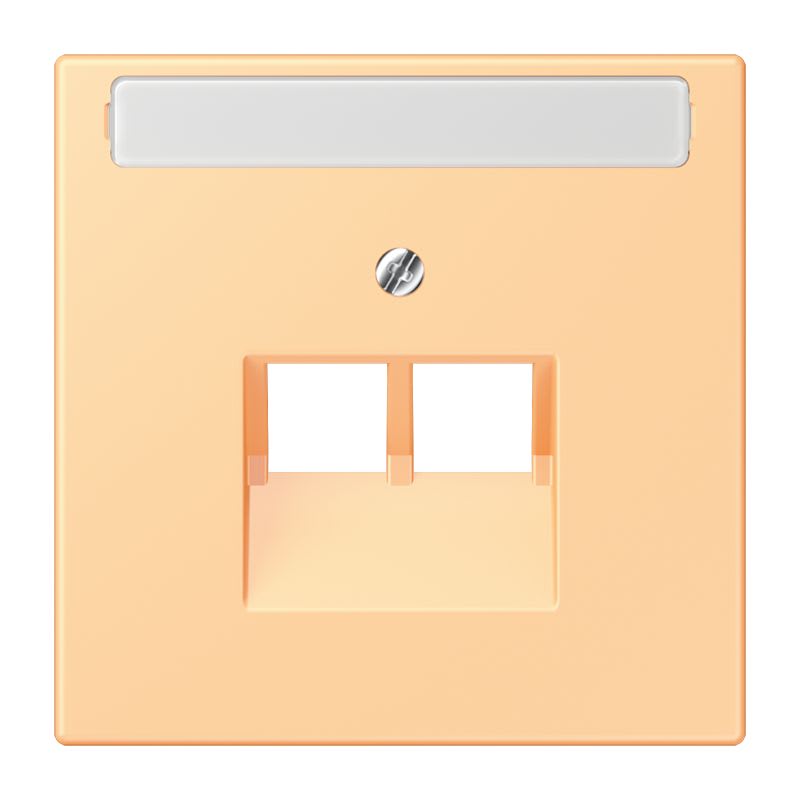 Jung - Enjoliveur pour prise IAE/UAE avec PE / LS 990 LC 4320P