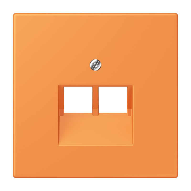 Jung - Enjoliveur pour prise IAE/UAE / LS 990 LC 32081