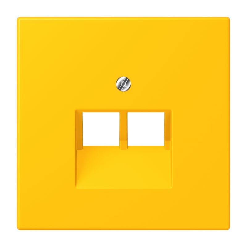 Jung - Enjoliveur pour prise IAE/UAE / LS 990 LC 4320W