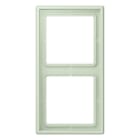 Jung - Cadre 2 postes / LS 990 LC 32042