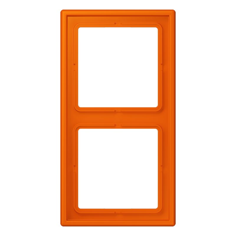 Jung - Cadre 2 postes / LS 990 LC 32080