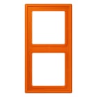 Jung - Cadre 2 postes / LS 990 LC 32080