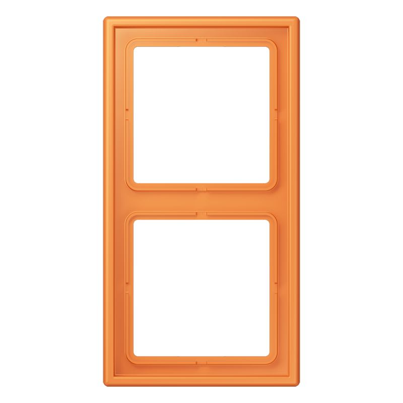 Jung - Cadre 2 postes / LS 990 LC 32081