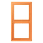 Jung - Cadre 2 postes / LS 990 LC 32081