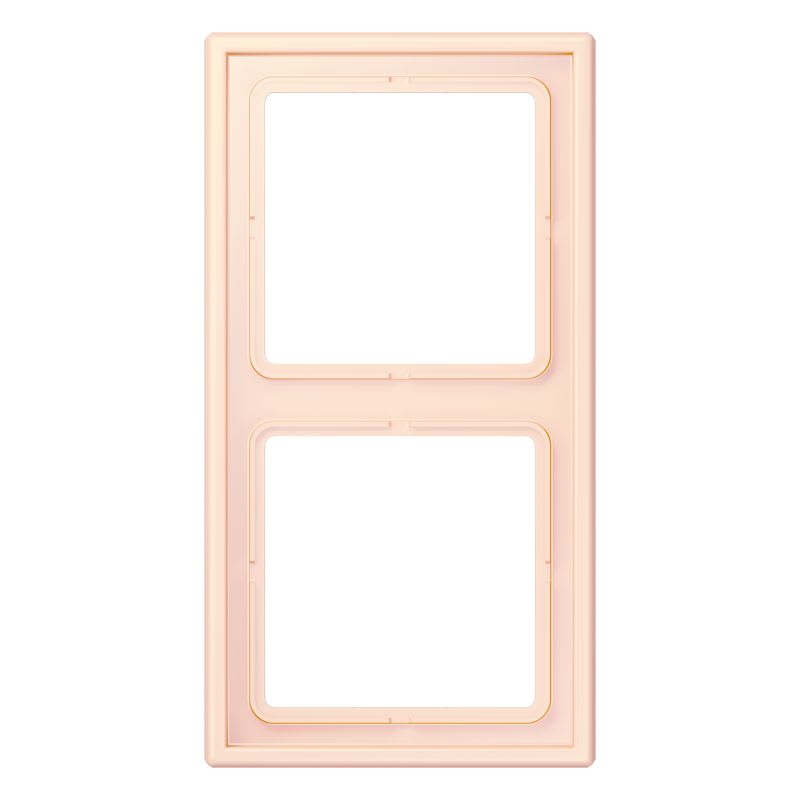 Jung - Cadre 2 postes / LS 990 LC 32082