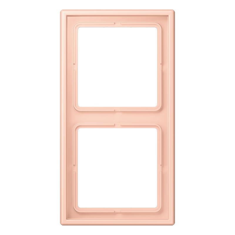 Jung - Cadre 2 postes / LS 990 LC 32114