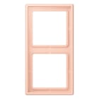 Jung - Cadre 2 postes / LS 990 LC 32114