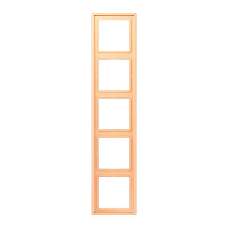 Jung - Cadre 5 postes / LS 990 LC 4320P