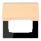 Jung - Enjoliveur couvercle / LS 990 LC 32060