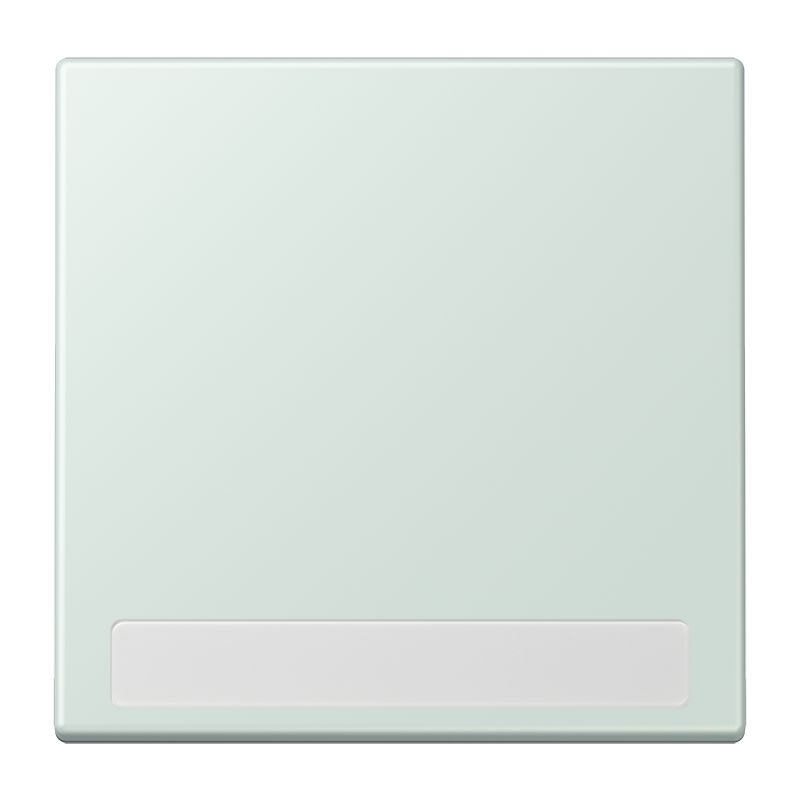 Jung - Enjo simple touche porte étiquette / LS 990 LC 32034
