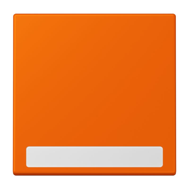 Jung - Enjo simple touche porte étiquette / LS 990 LC 32080