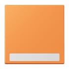 Jung - Enjo simple touche porte étiquette / LS 990 LC 32081