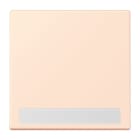 Jung - Enjo simple touche porte étiquette / LS 990 LC 32082