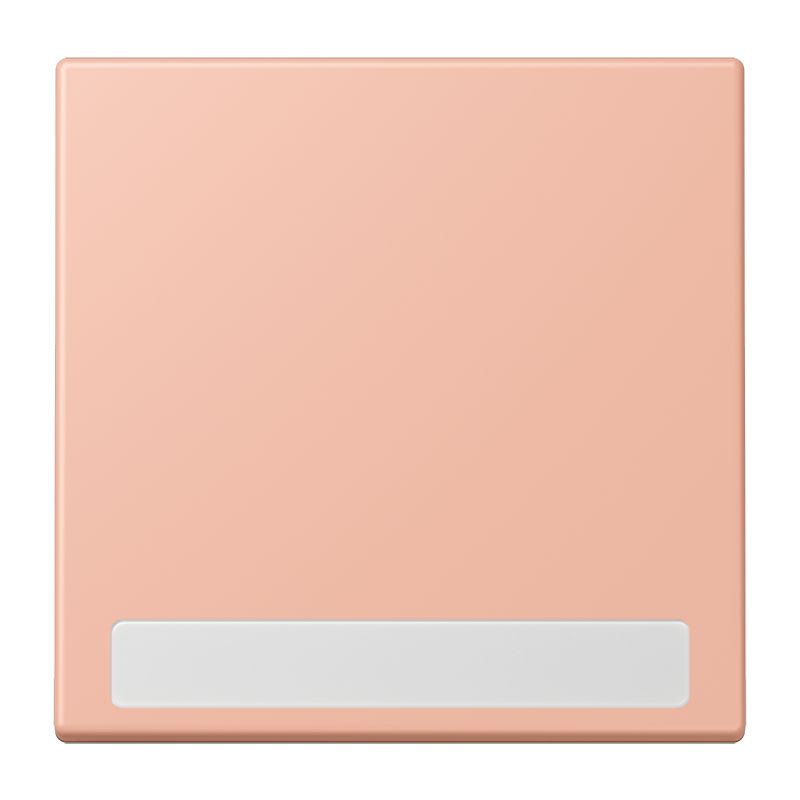 Jung - Enjo simple touche porte étiquette / LS 990 LC 32102