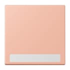 Jung - Enjo simple touche porte étiquette / LS 990 LC 32102