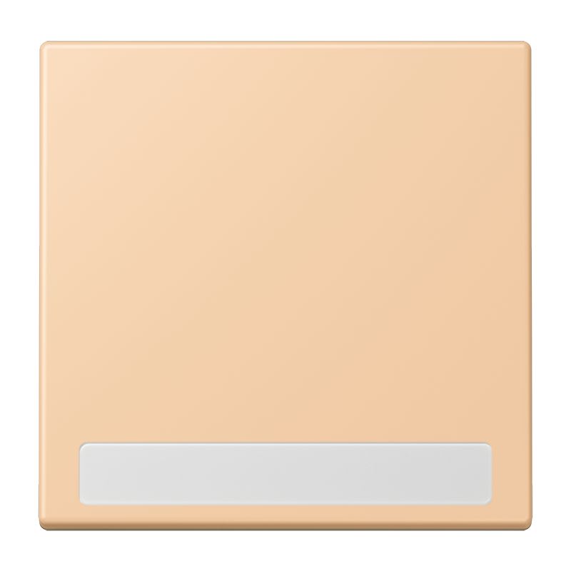 Jung - Enjo simple touche porte étiquette / LS 990 LC 32122