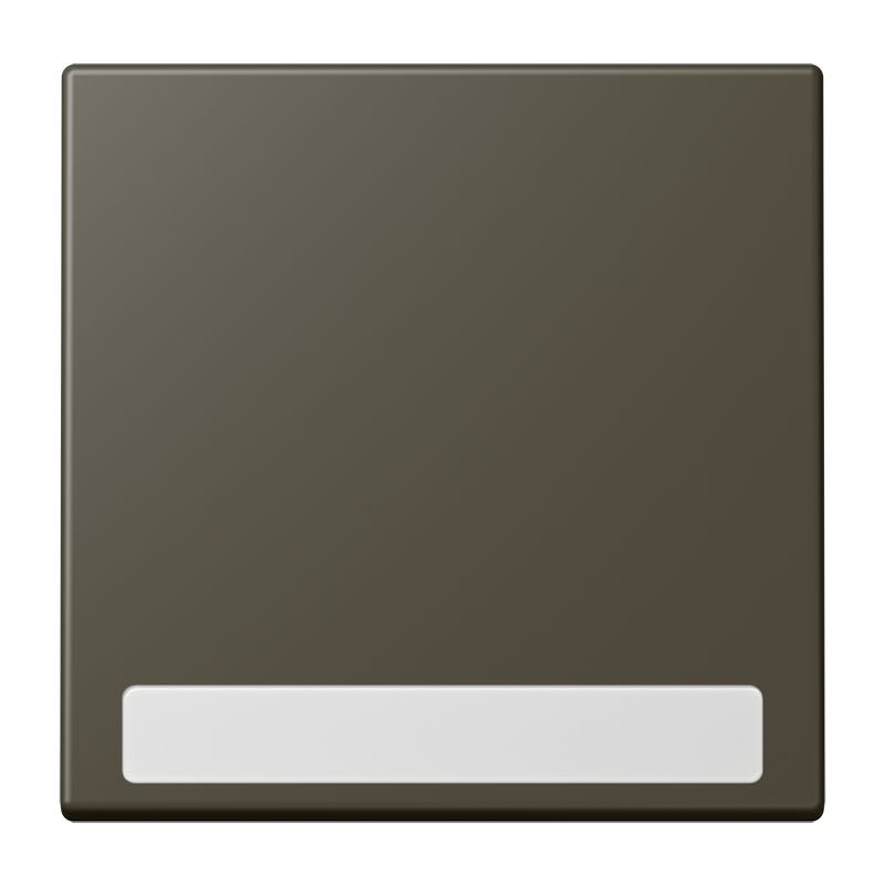 Jung - Enjo simple touche porte étiquette / LS 990 LC 32140
