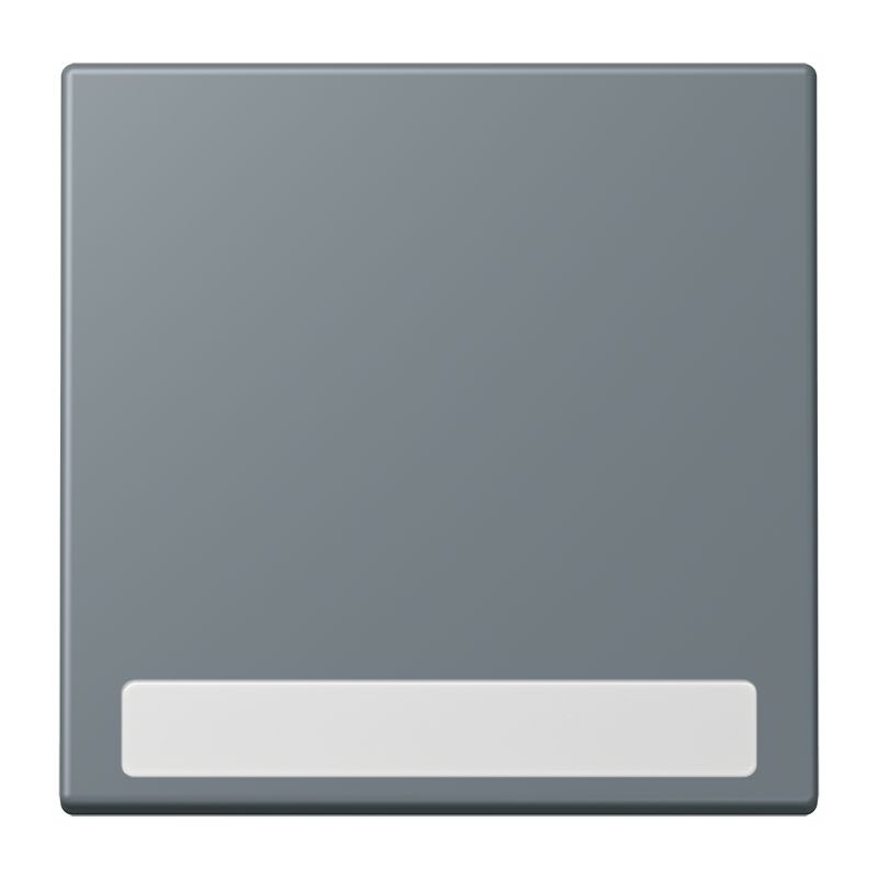 Jung - Enjo simple touche porte étiquette / LS 990 LC 4320H