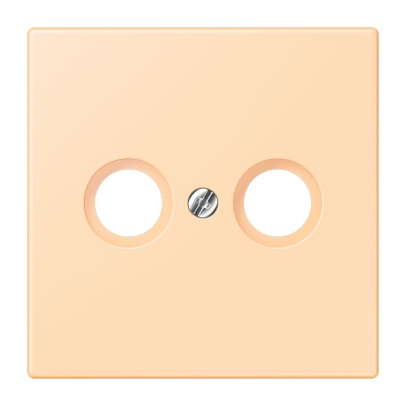 Jung - Enjo pour prise TV-FM / LS 990 LC 32060