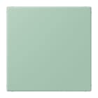 Jung - Enjoliveur obturateur avec support de fixation / LS 990 LC 32041