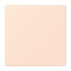 Jung - Enjoliveur obturateur avec support de fixation / LS 990 LC 32082