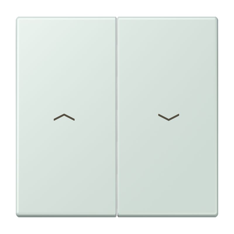 Jung - Enjoliveur double touche IN+BP VR-store / LS 990 LC 32034