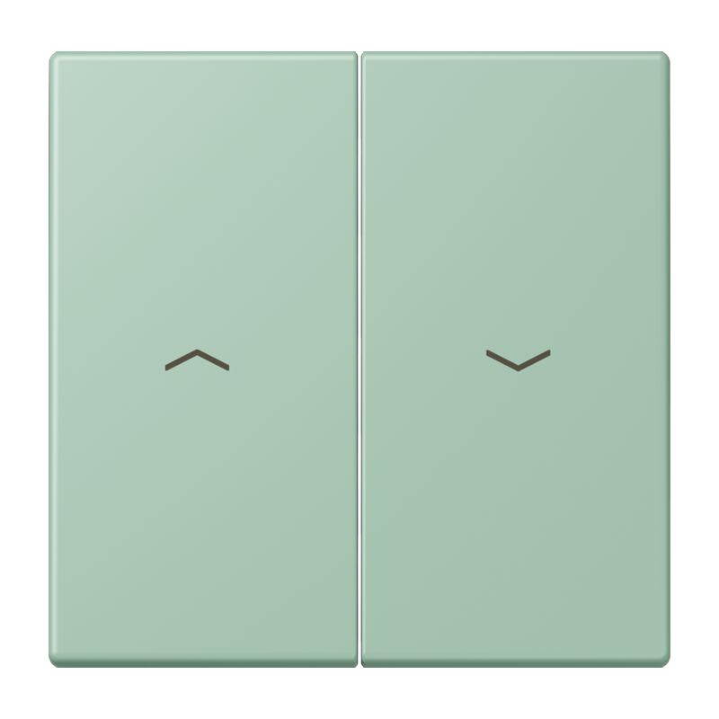 Jung - Enjoliveur double touche IN+BP VR-store / LS 990 LC 32041