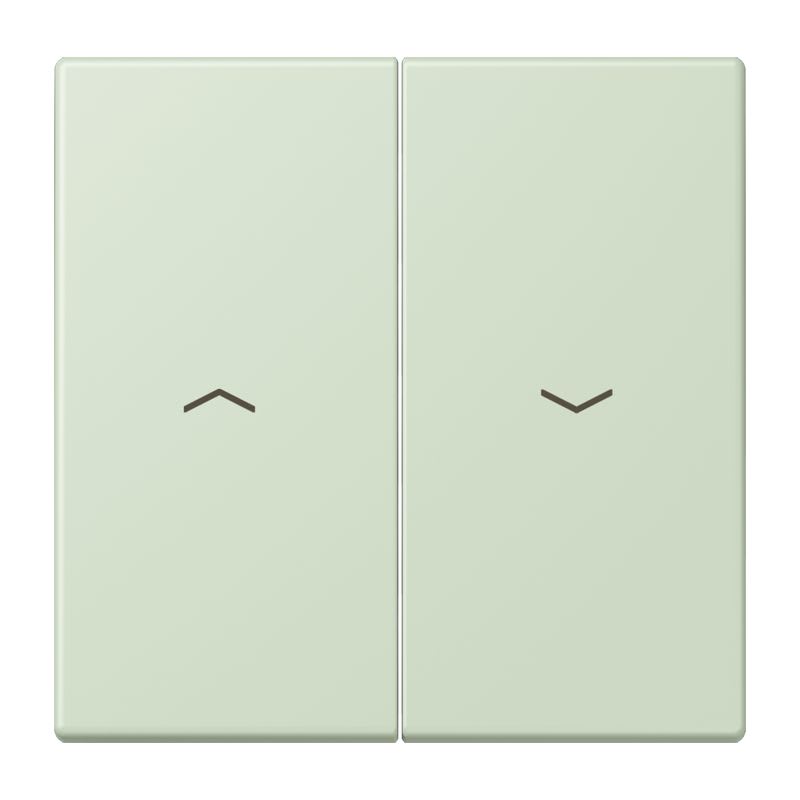 Jung - Enjoliveur double touche IN+BP VR-store / LS 990 LC 32042