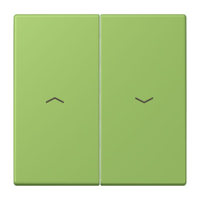 Jung - Enjoliveur double touche IN+BP VR-store / LS 990 LC 32051