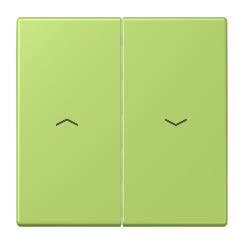 Jung - Enjoliveur double touche IN+BP VR-store / LS 990 LC 32052