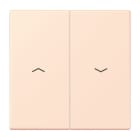 Jung - Enjoliveur double touche IN+BP VR-store / LS 990 LC 32082