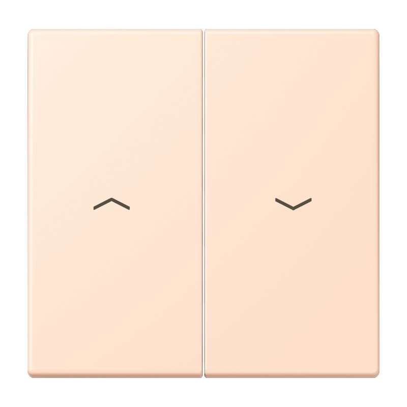 Jung - Enjoliveur double touche IN+BP VR-store / LS 990 LC 32091