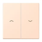 Jung - Enjoliveur double touche IN+BP VR-store / LS 990 LC 32091