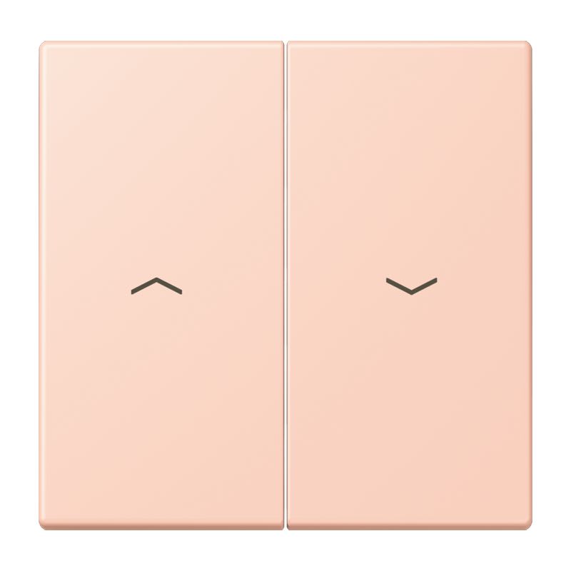 Jung - Enjoliveur double touche IN+BP VR-store / LS 990 LC 32114