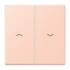 Jung - Enjoliveur double touche IN+BP VR-store / LS 990 LC 32114