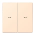 Jung - Enjoliveur double touche IN+BP VR-store / LS 990 LC 32123