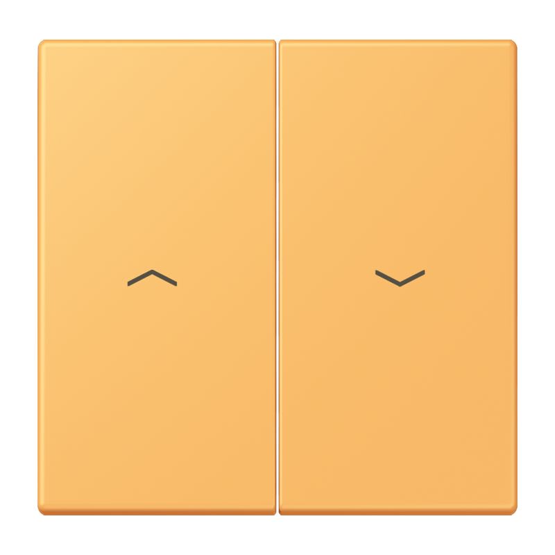 Jung - Enjoliveur double touche IN+BP VR-store / LS 990 LC 4320L