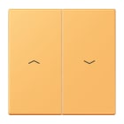 Jung - Enjoliveur double touche IN+BP VR-store / LS 990 LC 4320L
