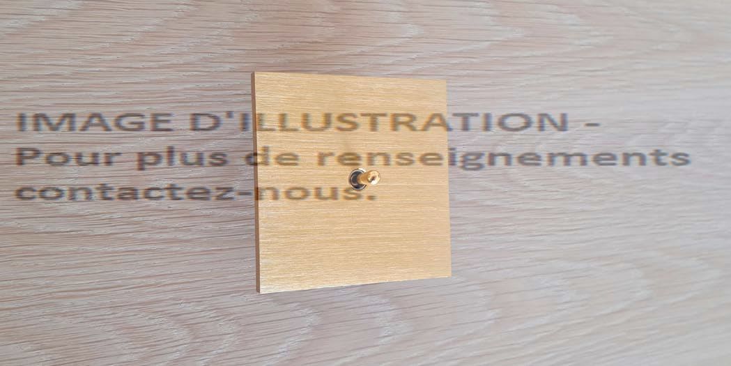 Jung - Plaque de recouvrement 1 levier KNX finition RED COPPER / Série NINA RED COPPER